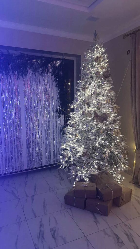 Новогодняя ёлка. Усадьба для проведения свадьбы дня рождения в Малорите в деревне Замшаны Дом 135.